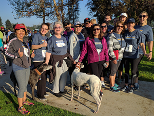 Colon Cancer 5K Run & Walk 2016