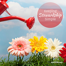 keeping stewardship simple