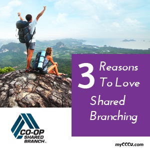 3 Reasons To Love Shared Branching