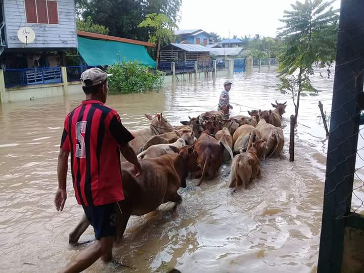 Laos Flooding Donation