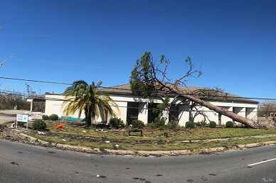 Hurricane Michael