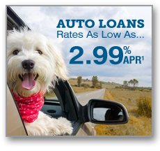 Auto Loans