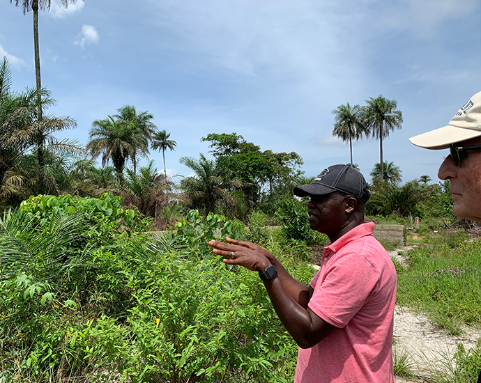 Liberian Camp Land